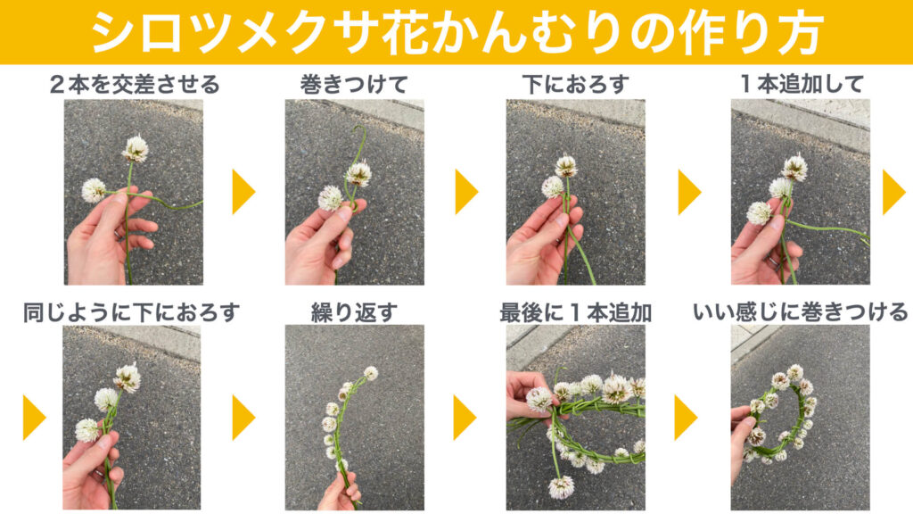 シロツメクサ花かんむりの作り方の図解